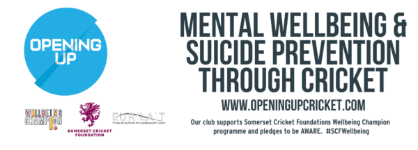 Somerset CF Wellbeing Champions Banner